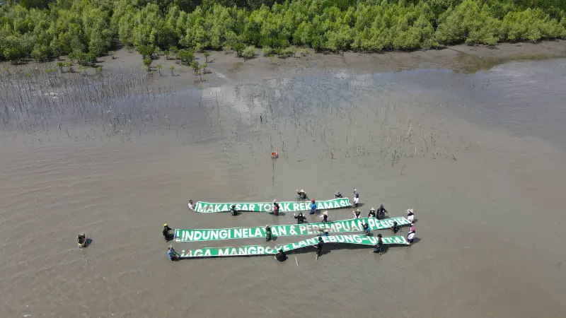 Pesisir Lantebung-Untia Terancam Reklamasi, Warga dan Komunitas Perkuat Perlawanan Lewat Penanaman Mangrove