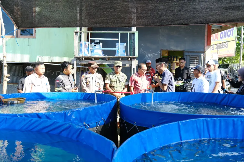 PLN Nusantara Power Hadirkan Sistem RASA-Ponic, Modernisasi Budidaya Ikan di Jeneponto