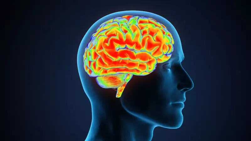 Sering Brain Fog di Jam Kerja?, Bisa Jadi Ini Tanda Kamu Kurang Sunlight Break