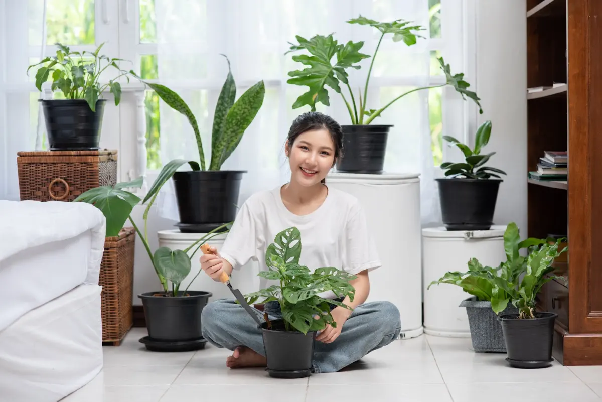 Tren Rumah Sehat Bukan Sekadar Estetika, Ini Deretan Rekomendasi Tanaman yang Cocok Dalam Ruangan