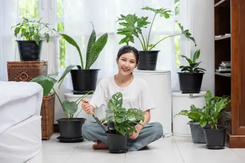 Tren Rumah Sehat Bukan Sekadar Estetika, Ini Deretan Rekomendasi Tanaman yang Cocok Dalam Ruangan