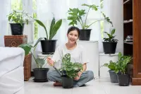 Tren Rumah Sehat Bukan Sekadar Estetika, Ini Deretan Rekomendasi Tanaman yang Cocok Dalam Ruangan
