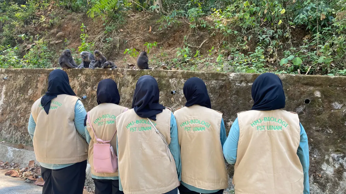 Pelajaran dari Hutan Karaenta: Mengapa Pengunjung Tak Boleh Lagi Memberi Makan Monyet Dare'