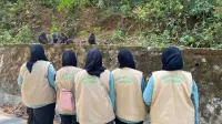 Pelajaran dari Hutan Karaenta: Mengapa Pengunjung Tak Boleh Lagi Memberi Makan Monyet Dare'