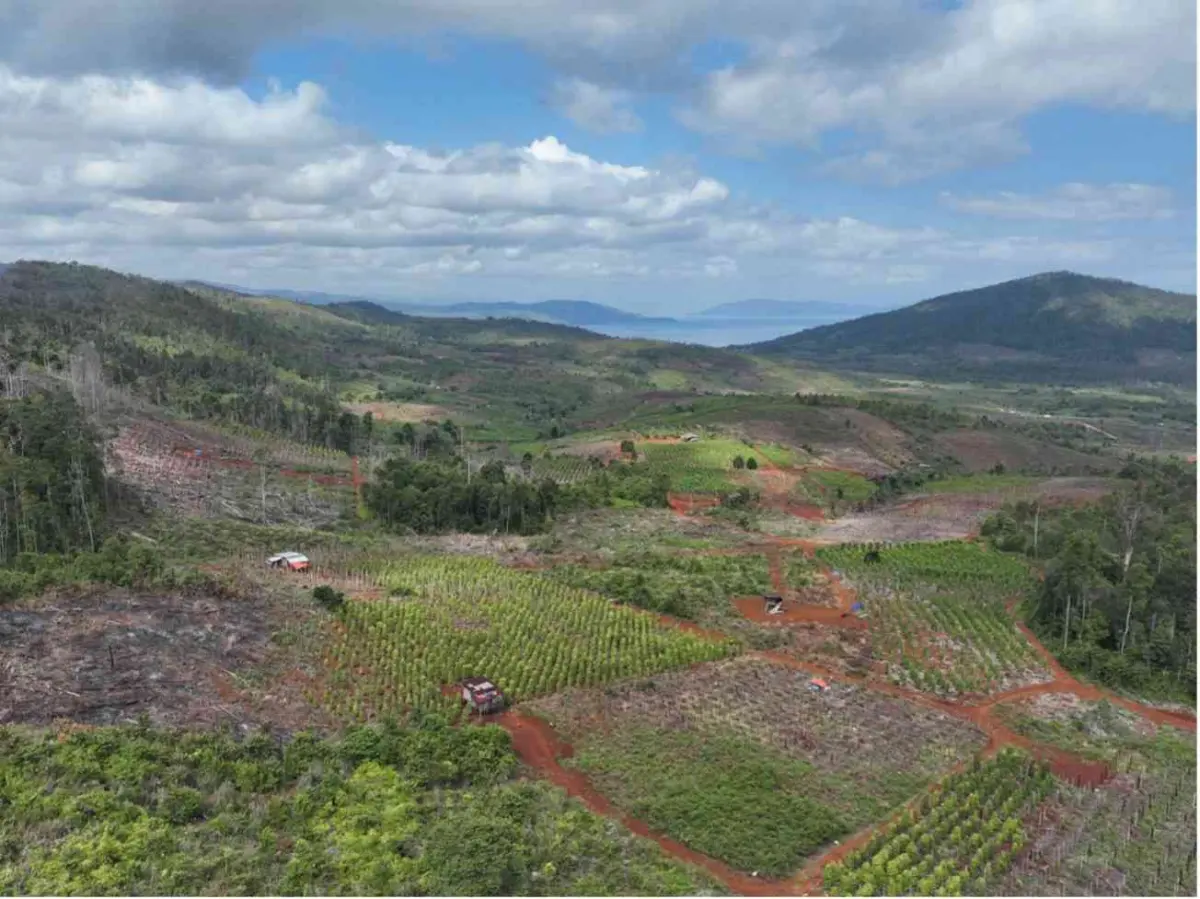 Modus Baru Jual Beli Garapan Ilegal Ancam Hutan Lindung Luwu Timur: Negara Kecolongan Sistemik?