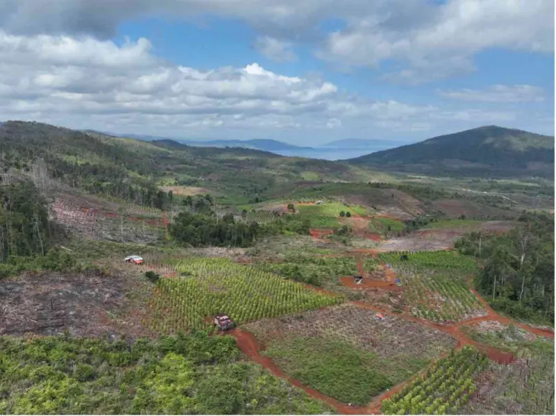 Modus Baru Jual Beli Garapan Ilegal Ancam Hutan Lindung Luwu Timur: Negara Kecolongan Sistemik?