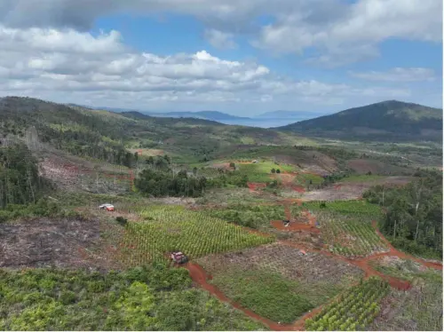 Modus Baru Jual Beli Garapan Ilegal Ancam Hutan Lindung Luwu Timur: Negara Kecolongan Sistemik?