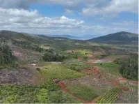 Modus Baru Jual Beli Garapan Ilegal Ancam Hutan Lindung Luwu Timur: Negara Kecolongan Sistemik?