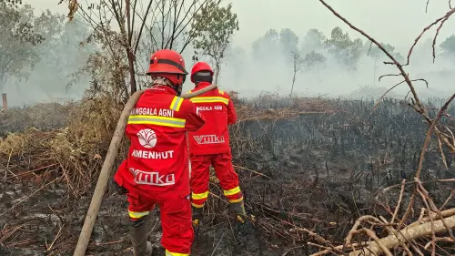 Puluhan Titik Panas Karhutla Terdeteksi di Papua Barat, Ribuan Hektare Lahan Terbakar