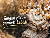 Jangan Hidup seperti Lebah
