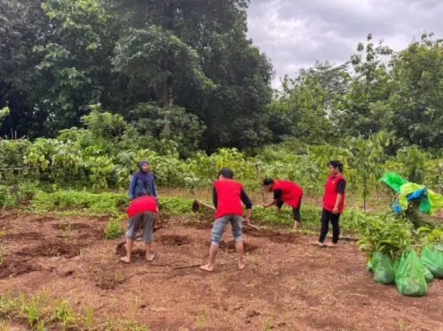 Tingkatkan Produktivitas dan Lestarikan Lingkungan: Mahasiswa KKN Unhas Adakan Penyuluhan Pola Jarak Tanam Pohon
