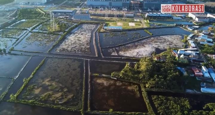 Warga Desa Tani Indah Menuntut Udara Bersih: Dampak PLTU terhadap Lingkungan dan Kesehatan