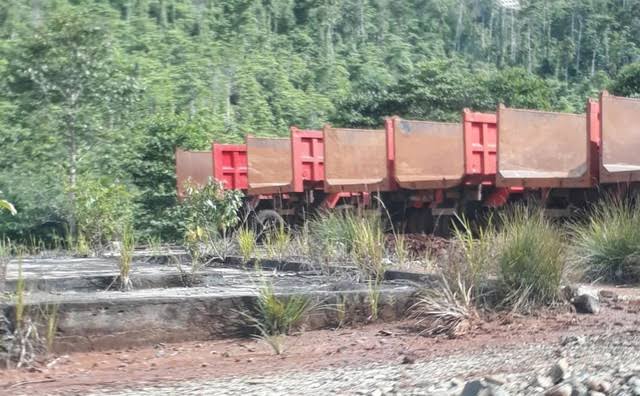 AMPH Sultra Ungkap Dugaan Penambangan Ilegal oleh PT TMM: Hutan Produksi Jadi Korban