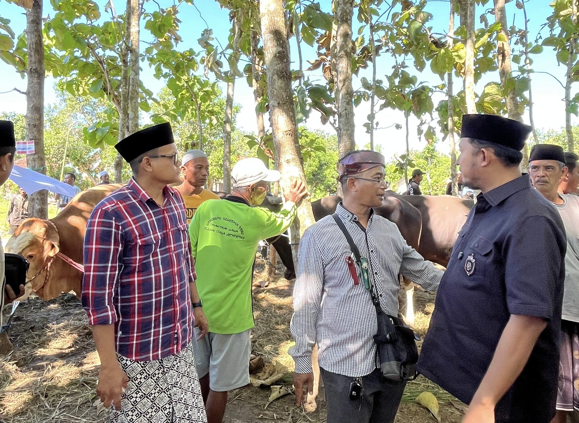 Yayasan Fathimah Binti Said Ghauzan Milik Ketua Banggar DPR RI Salurkan 205 Ekor Sapi Kurban untuk Warga Sumenep
