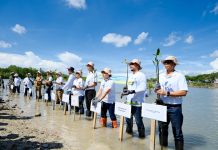 Roots of Energy: PLN Group Sulsel Tanam 10.150 Pohon, Wujudkan Transisi Energi Hijau