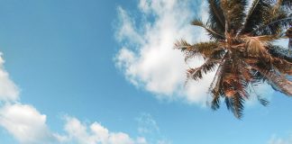 Pelajaran Favorit yang Tidak Pernah Kita Inginkan