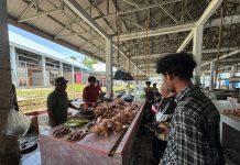 Dilema Harga Ayam di Pasar Sentral Poso: Antara Regulasi HET dan Realita Distribusi