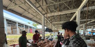 Dilema Harga Ayam di Pasar Sentral Poso: Antara Regulasi HET dan Realita Distribusi